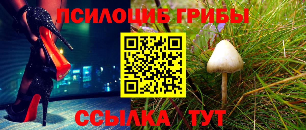 Галлюциногенные грибы Cubensis  Вход с VPN  Георгиевск 